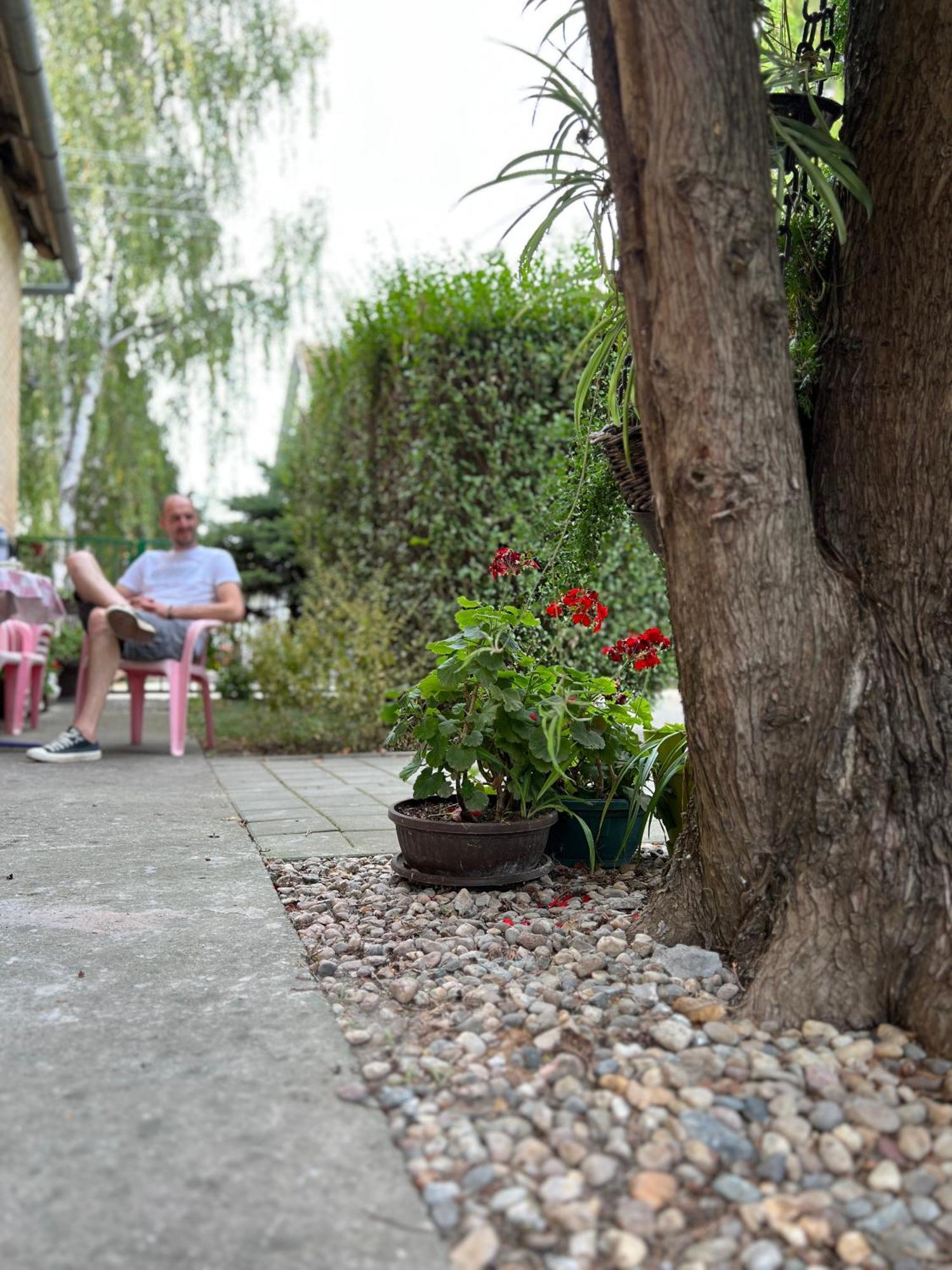 Bezdan Guesthouse Zewnętrze zdjęcie