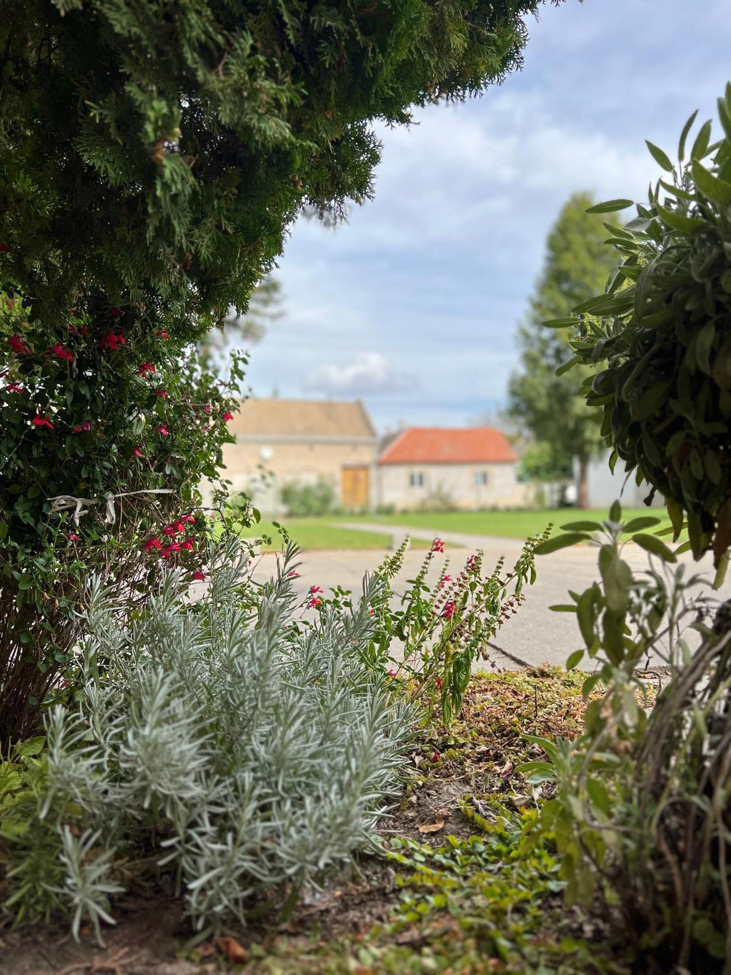 Bezdan Guesthouse Zewnętrze zdjęcie