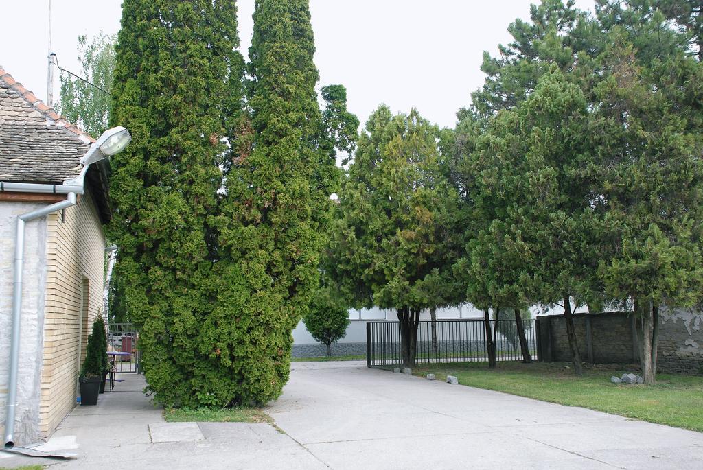 Bezdan Guesthouse Zewnętrze zdjęcie